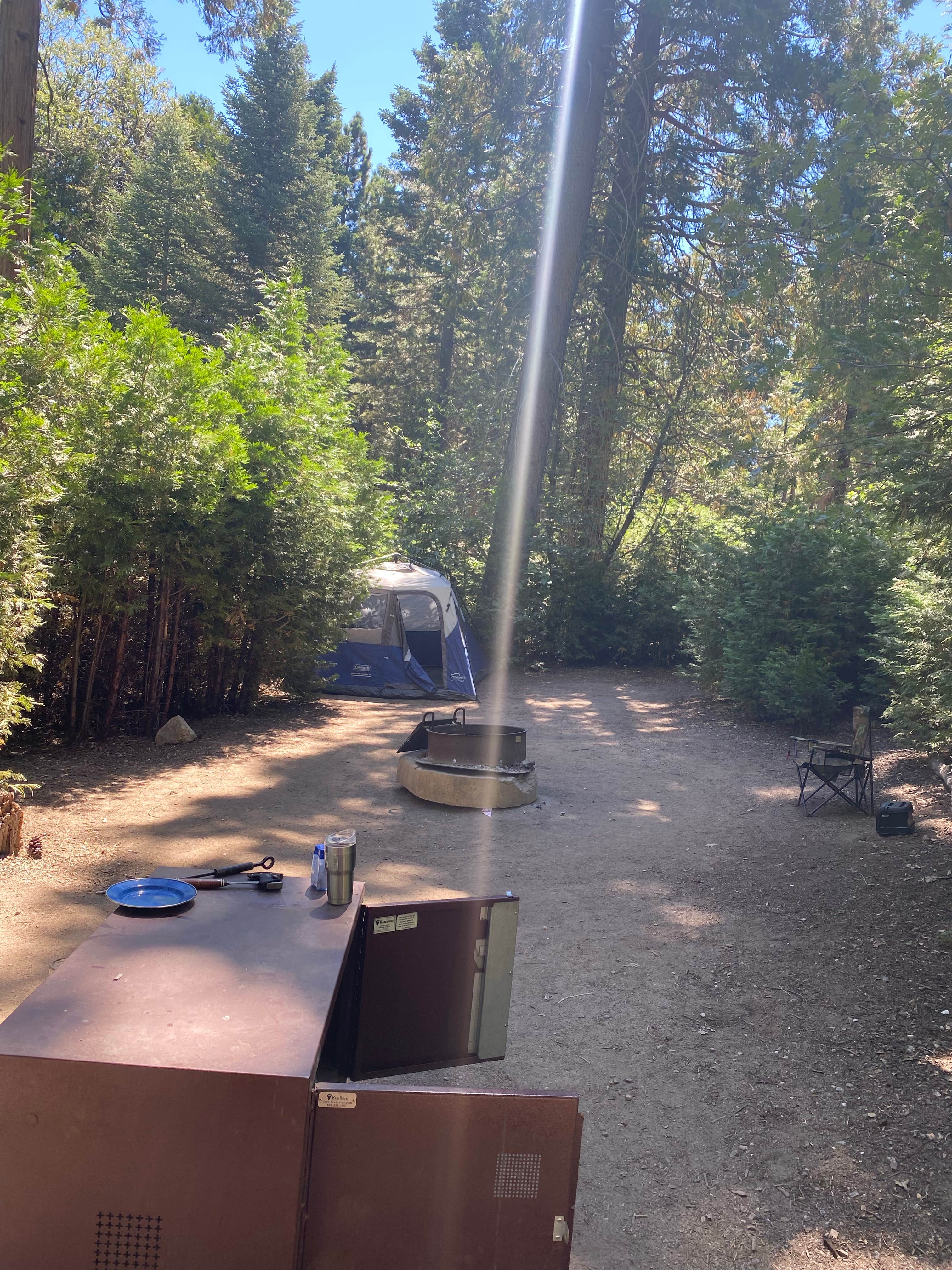 Andre V.'s photo at Dogwood near Cedar Glen, CA