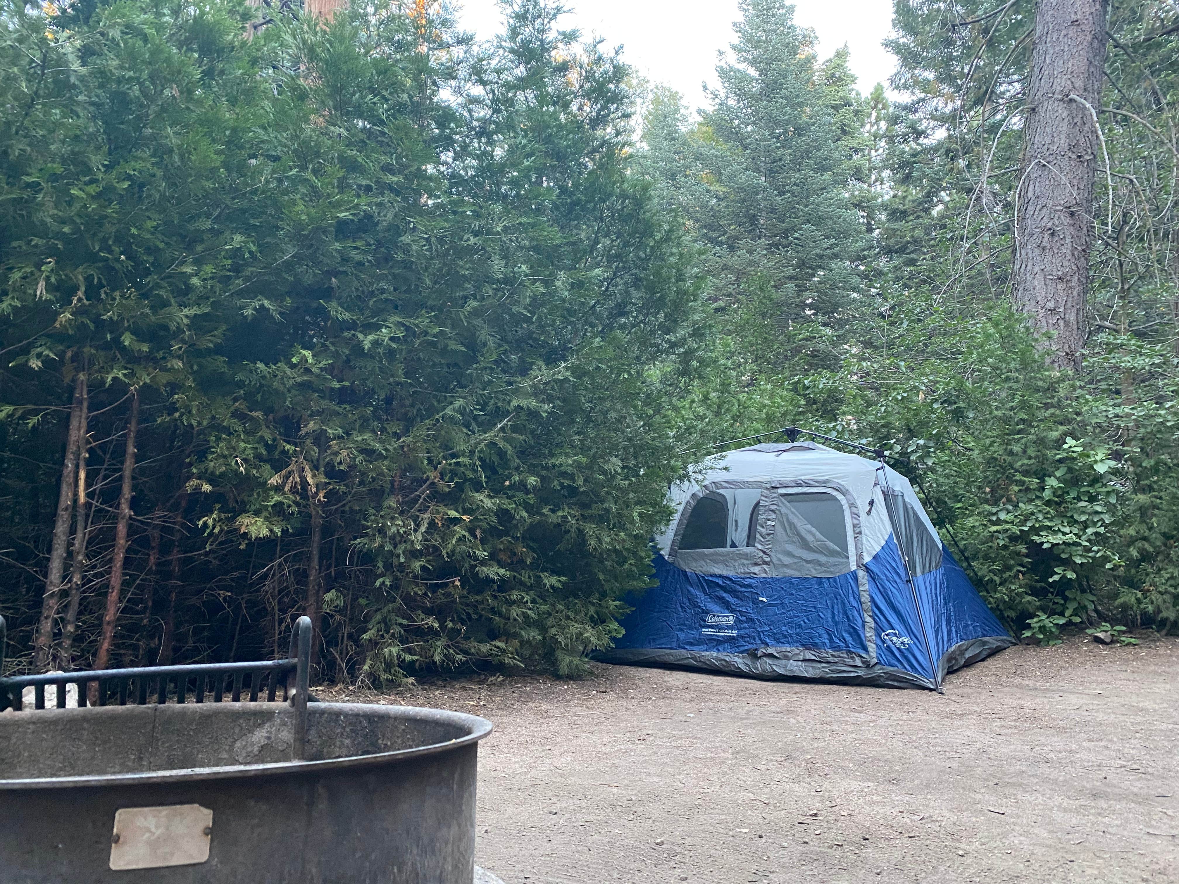 Andre V.'s photo at Dogwood near Blue Jay, CA