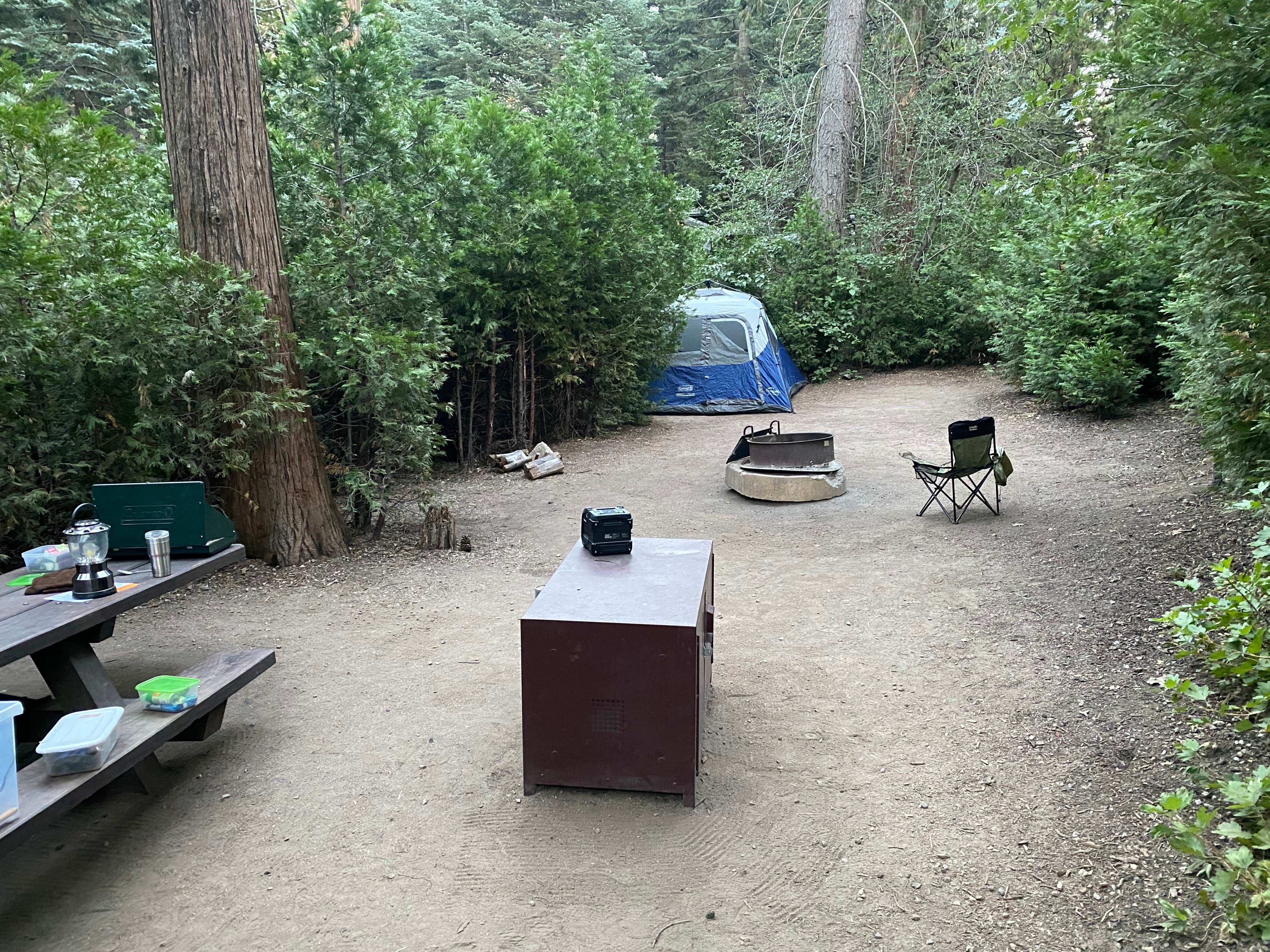 Andre V.'s photo at Dogwood near Highland, CA