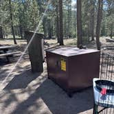 Review photo of Donner Memorial State Park Campground by Deb H., June 16, 2024