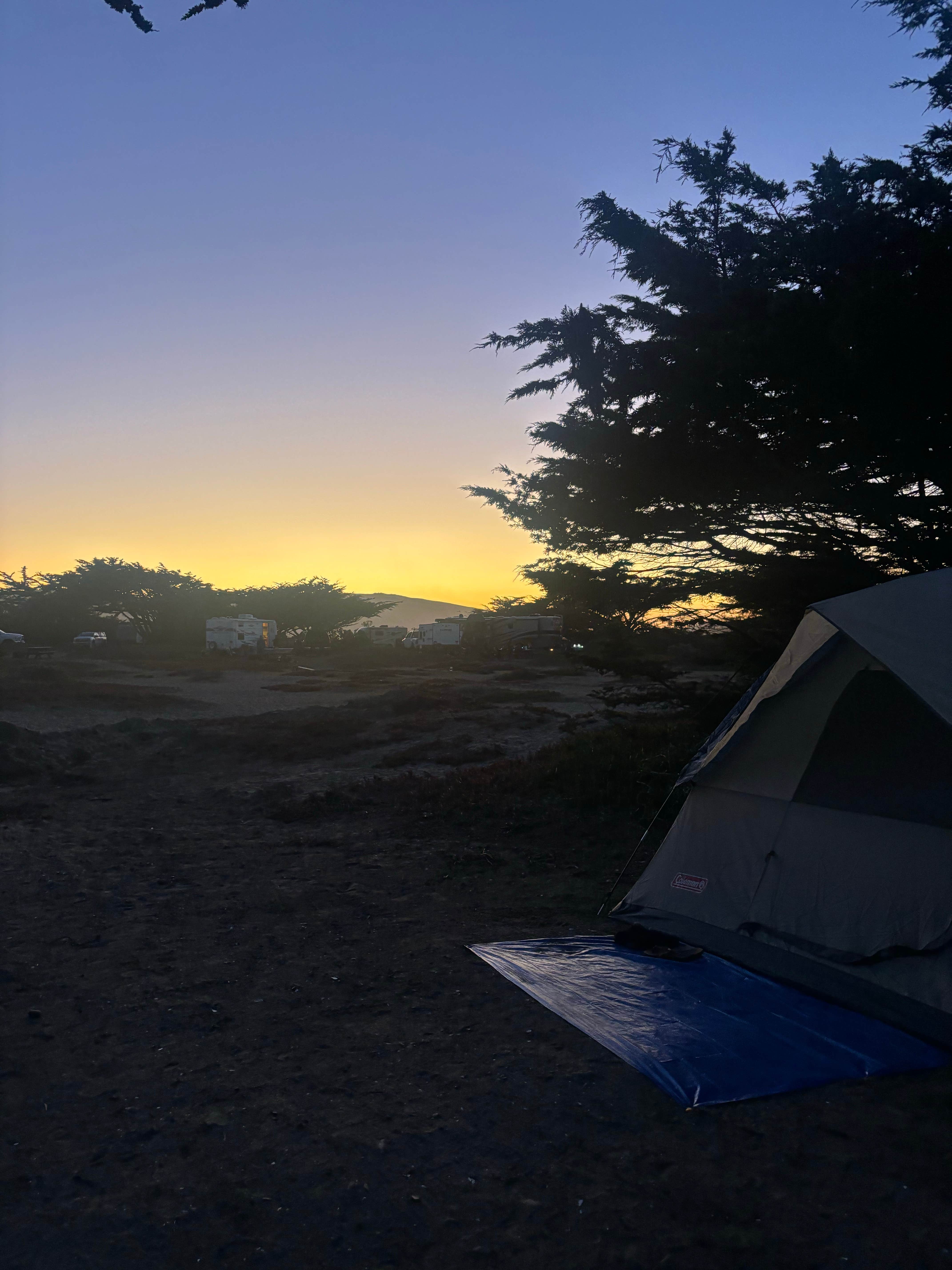 sarah I.'s photo at Doran Regional Park near Bodega Bay, CA