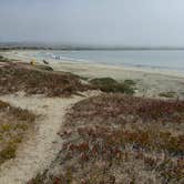 Review photo of Doran Regional Park by kate L., July 2, 2025
