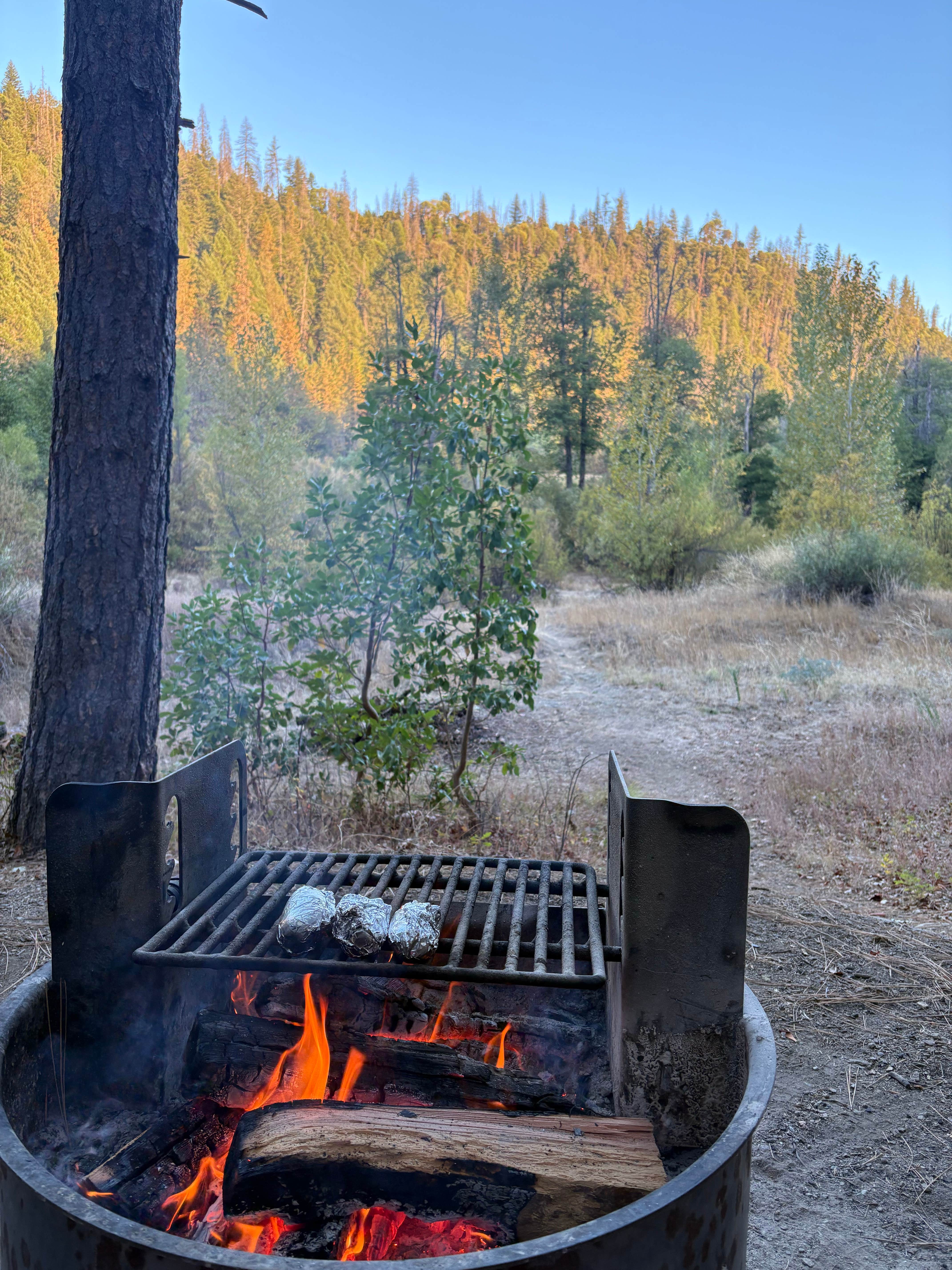 Camper-submitted photo at Douglas City Campground near Weaverville, CA