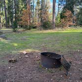 Review photo of Dru Barner Campground — Eldorado National Forest by Glyn P., November 30, 2025