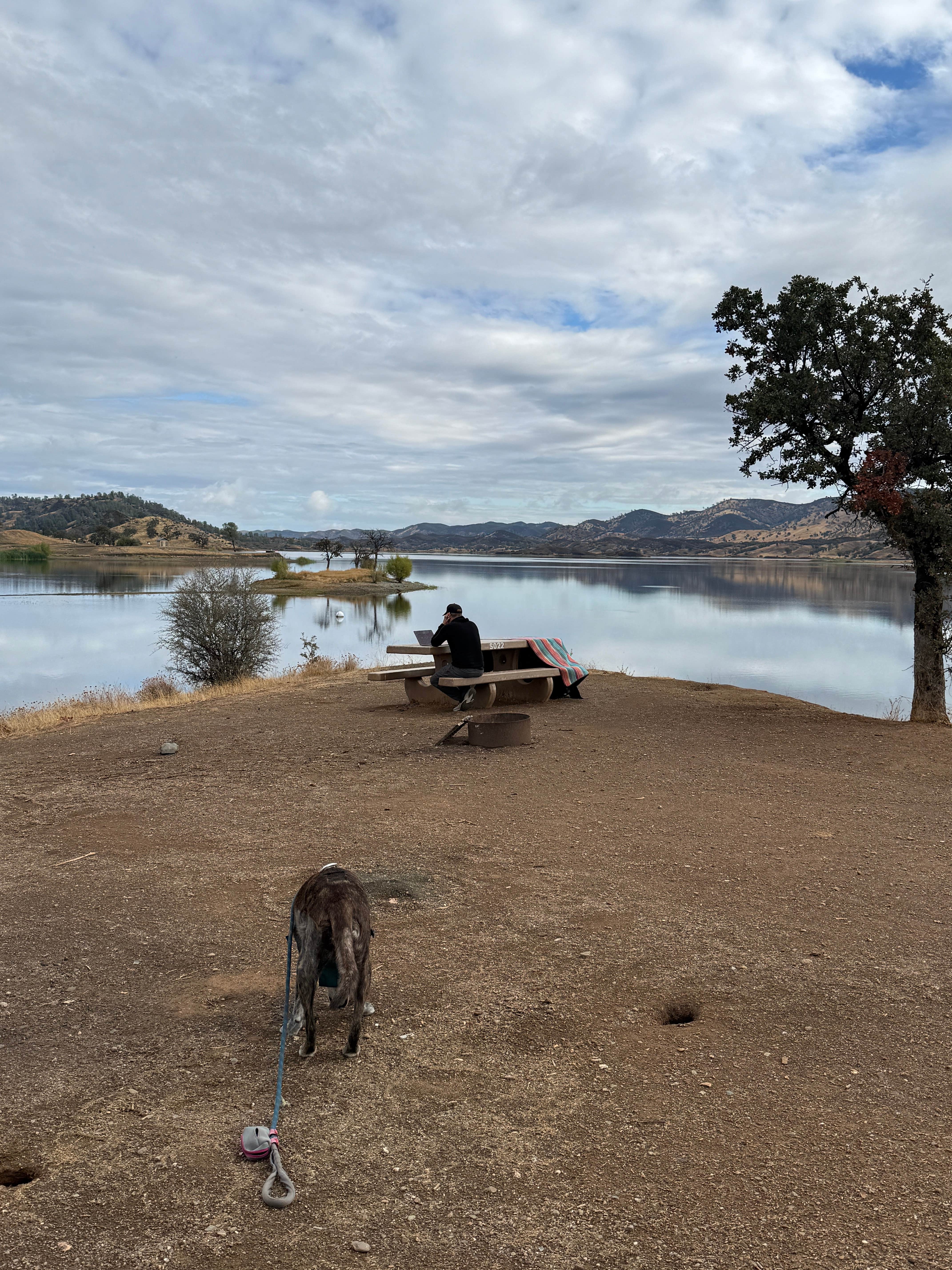 Camper-submitted photo at East Park Reservoir near Stonyford, CA