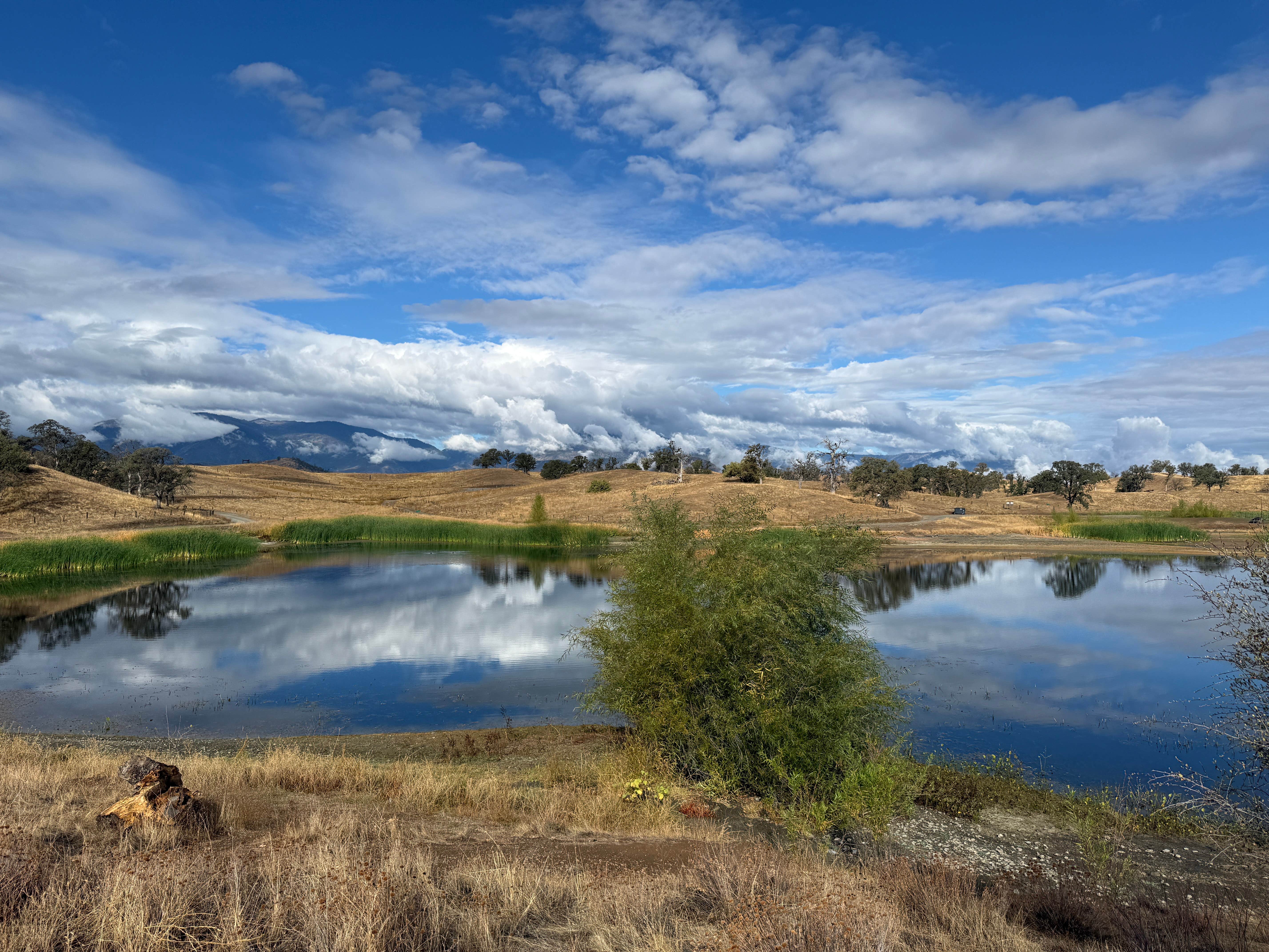 Camper-submitted photo at East Park Reservoir near Stonyford, CA