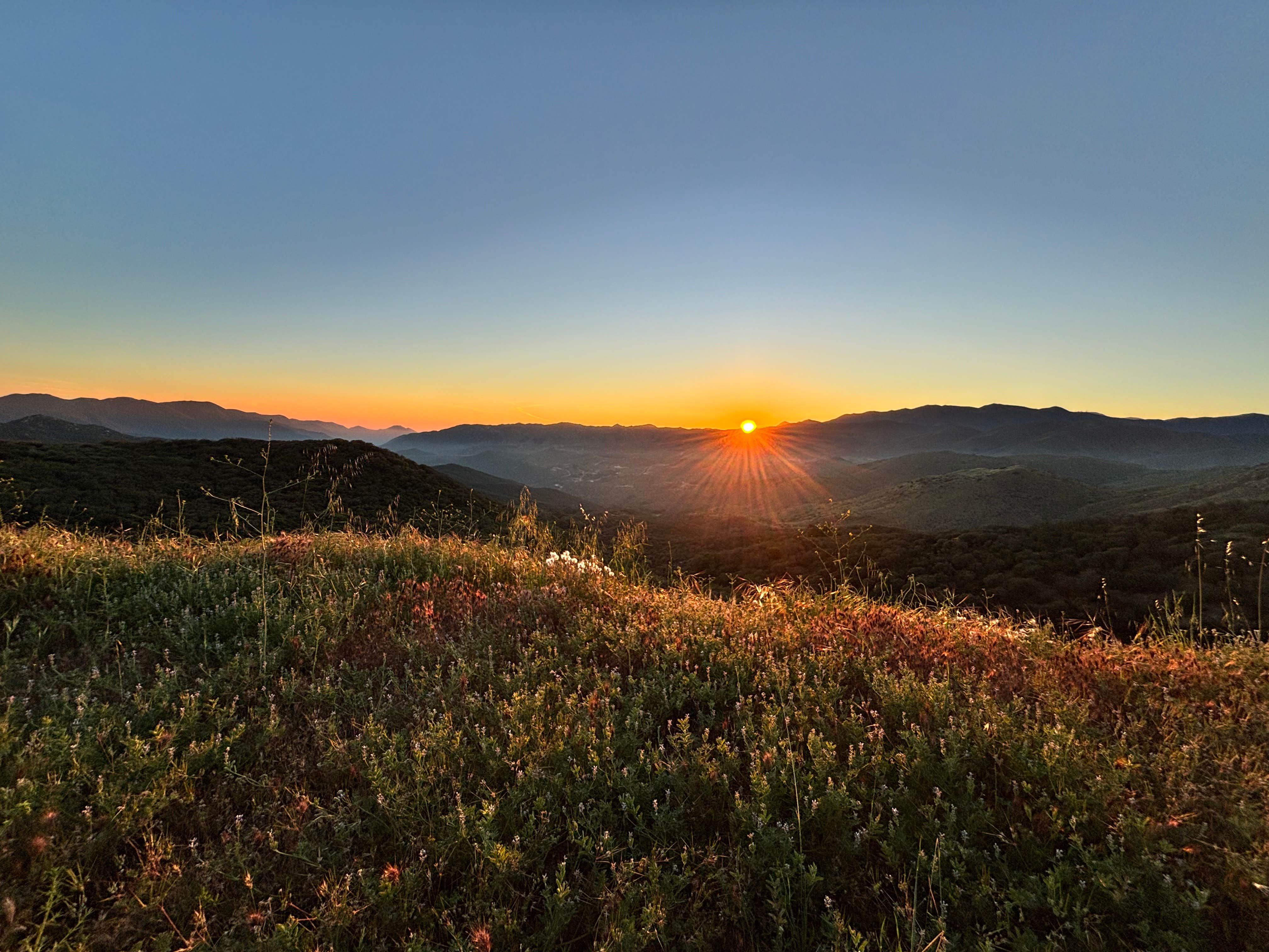 Camper-submitted photo at El Cariso Campground near Quail Valley, CA
