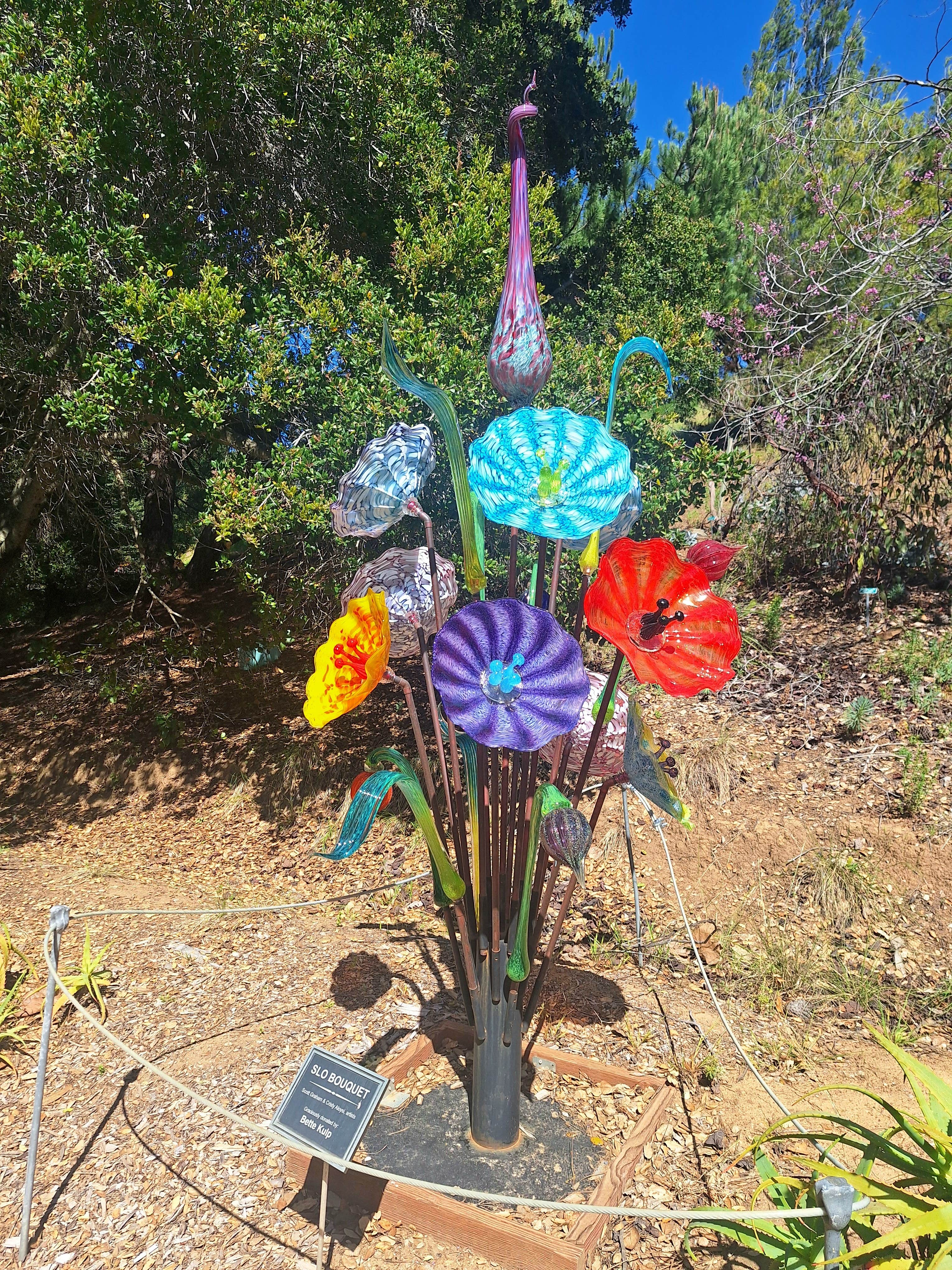 Camper-submitted photo at El Chorro Regional Park near Cayucos, CA