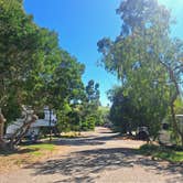 Review photo of El Chorro Regional Park by Aostara K., March 16, 2026