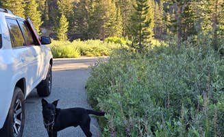 Janalee's photo of camping with pets at Ellery Campground near Yosemite Valley, CA