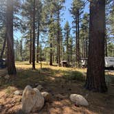 Review photo of Fallen Leaf Campground - South Lake Tahoe by Tim S., August 14, 2026