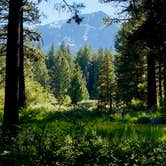 Review photo of Fallen Leaf Campground - South Lake Tahoe by marcus K., June 10, 2025