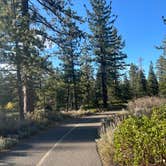 Review photo of Fallen Leaf Campground - South Lake Tahoe by Shane T., October 11, 2024