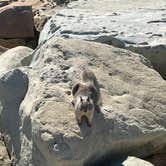 Review photo of Faria Beach Park by michael P., October 18, 2025