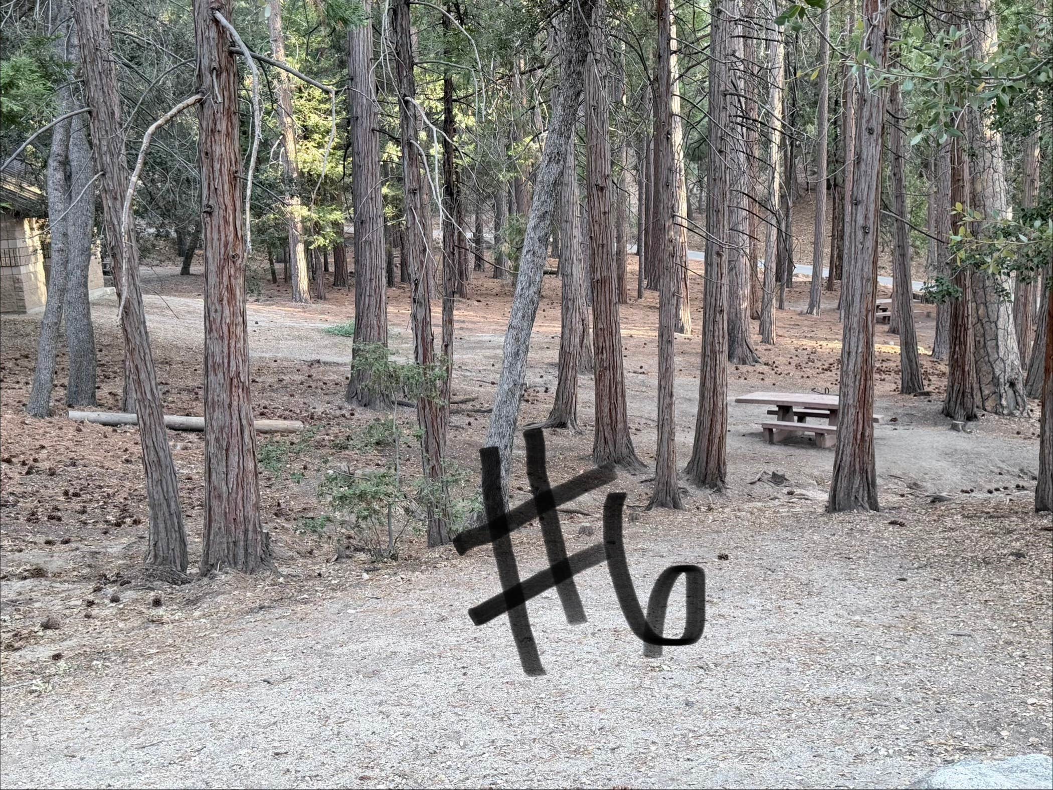 Camper-submitted photo at Fern Basin Campground near Idyllwild, CA