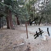 Review photo of Fern Basin Campground by Brittany N., August 24, 2026