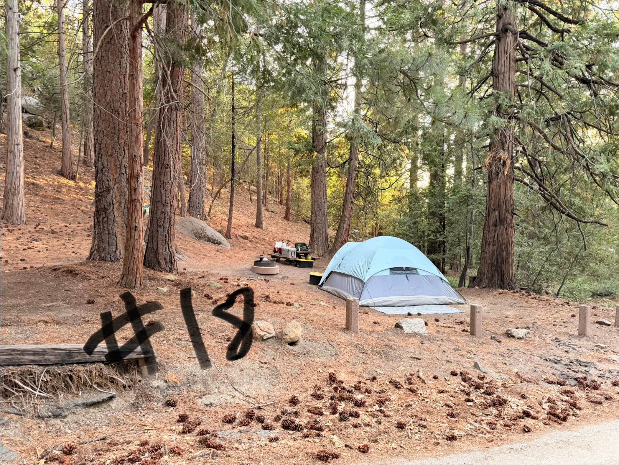 Camper-submitted photo at Fern Basin Campground near Idyllwild, CA