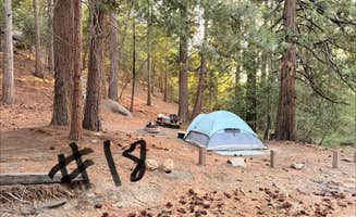 Brittany N.'s photo at Fern Basin Campground near Idyllwild-Pine Cove, CA