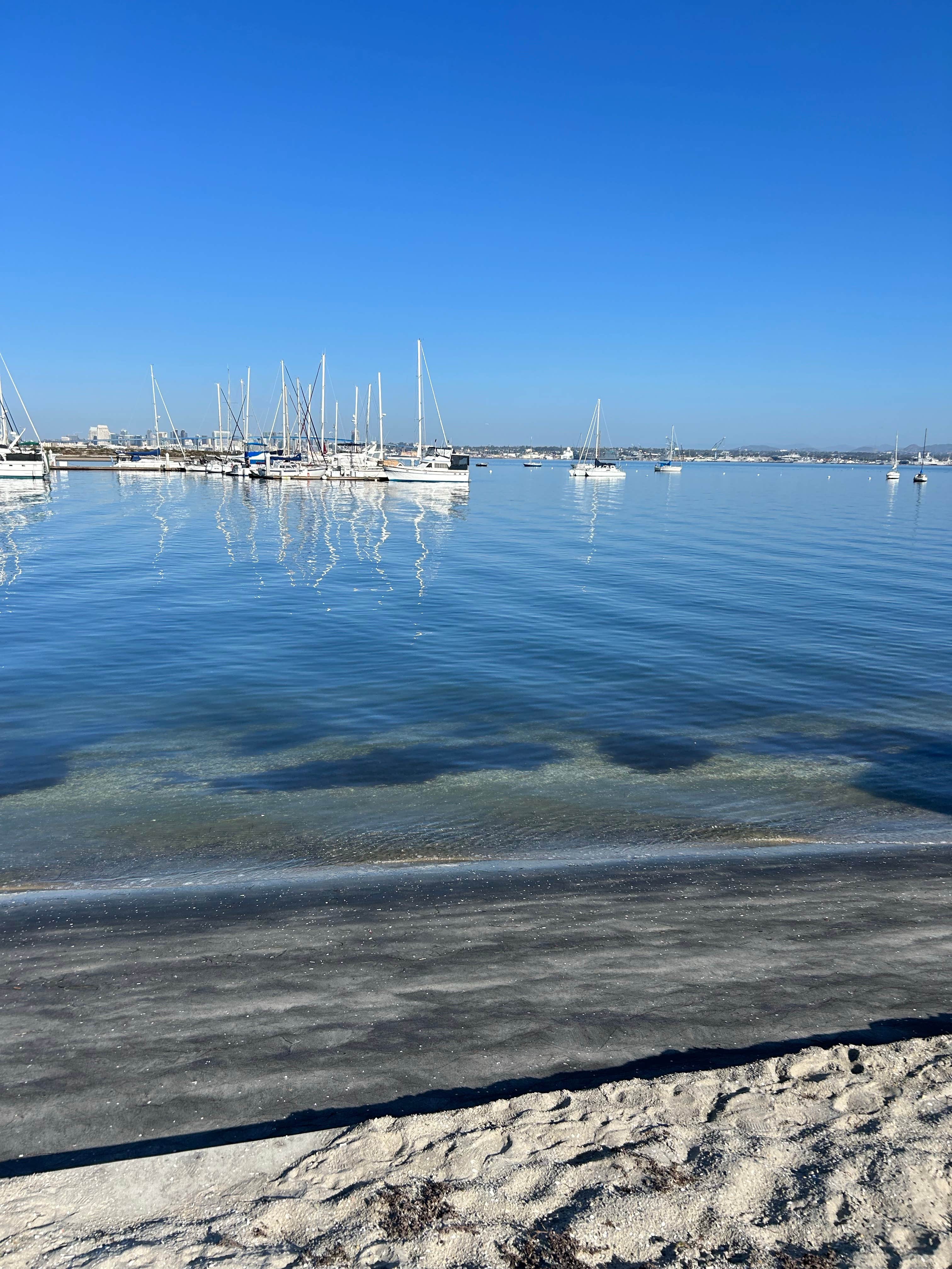 Camper-submitted photo at Fiddlers Cove RV Park near Bonita, CA