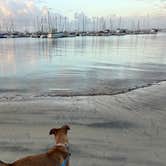 Review photo of Fiddlers Cove RV Park by Jose J., February 27, 2024