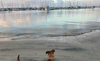 Jose J.'s photo of camping with pets at Fiddlers Cove RV Park near El Cajon, CA