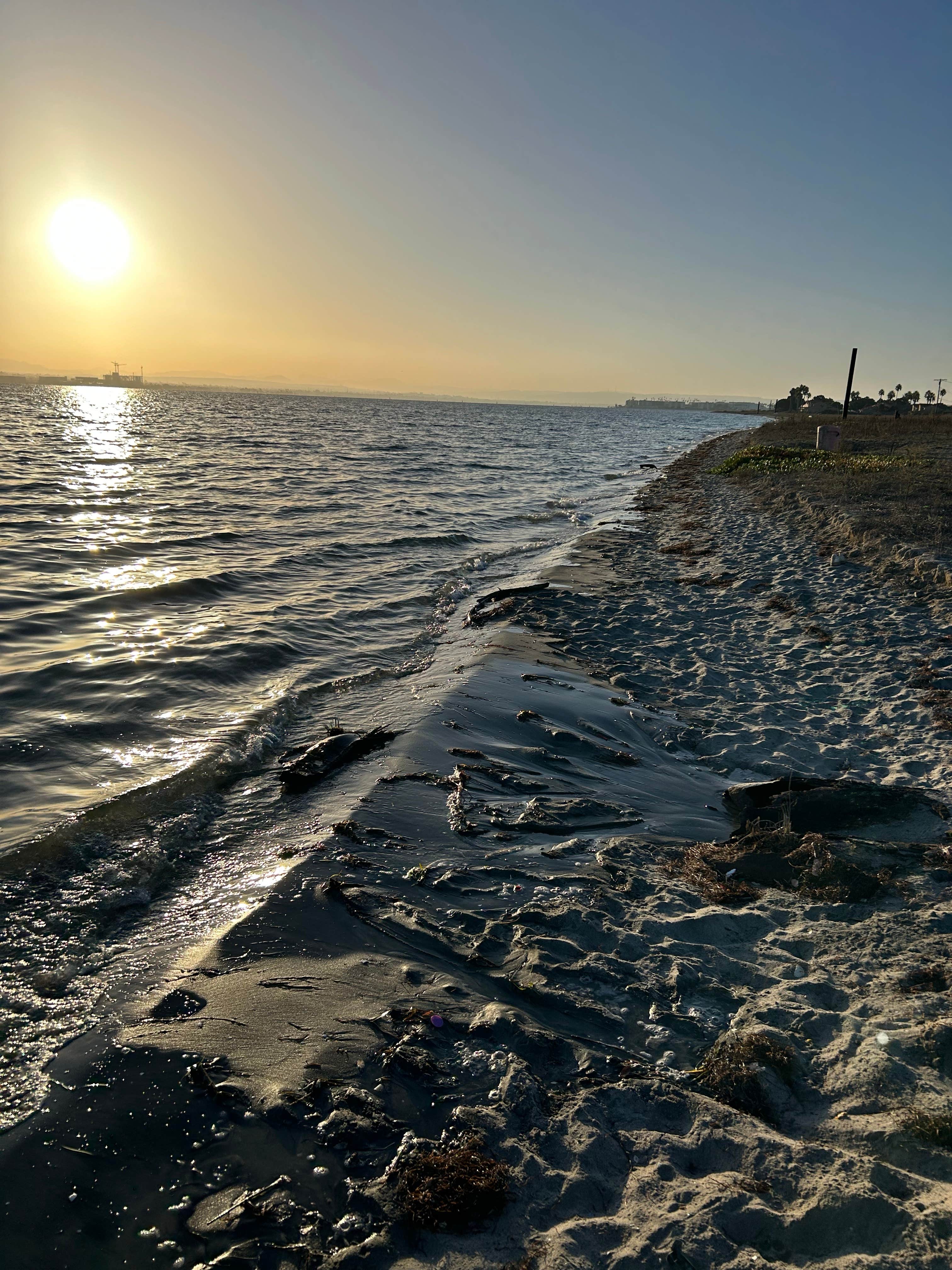 Camper-submitted photo at Fiddlers Cove RV Park near Chula Vista, CA