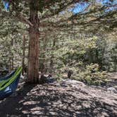 Review photo of Fish Creek Campground by Eric A., July 8, 2024