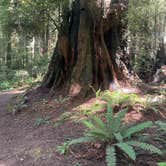 Review photo of Florence Keller Regional Park by Lahayla K., August 9, 2026