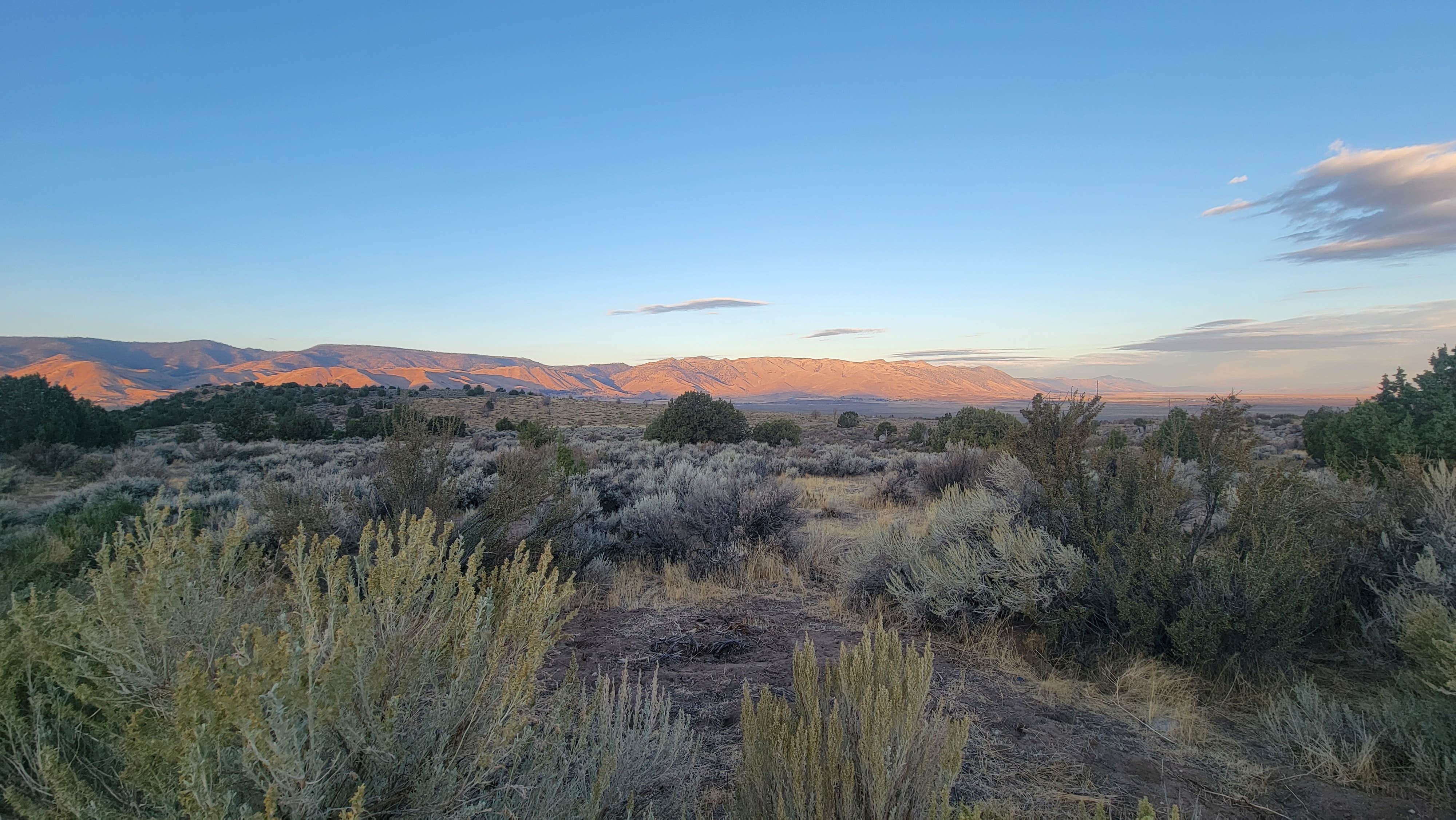 Camper-submitted photo at Fort Sage Off Highway Vehicle Area near Clio, CA