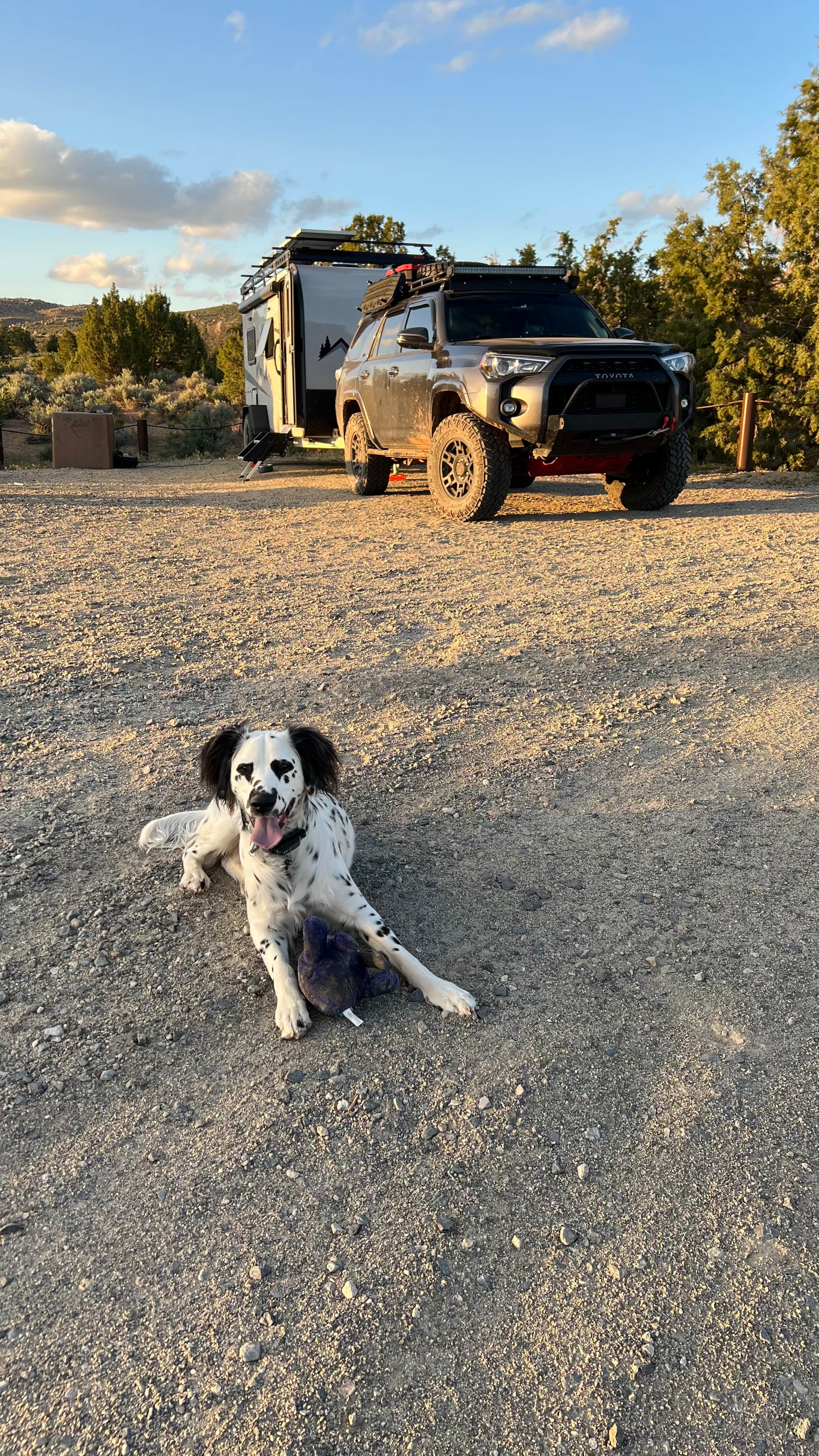 Jules S.'s photo of camping with pets at Fort Sage Off Highway Vehicle Area near Susanville, CA