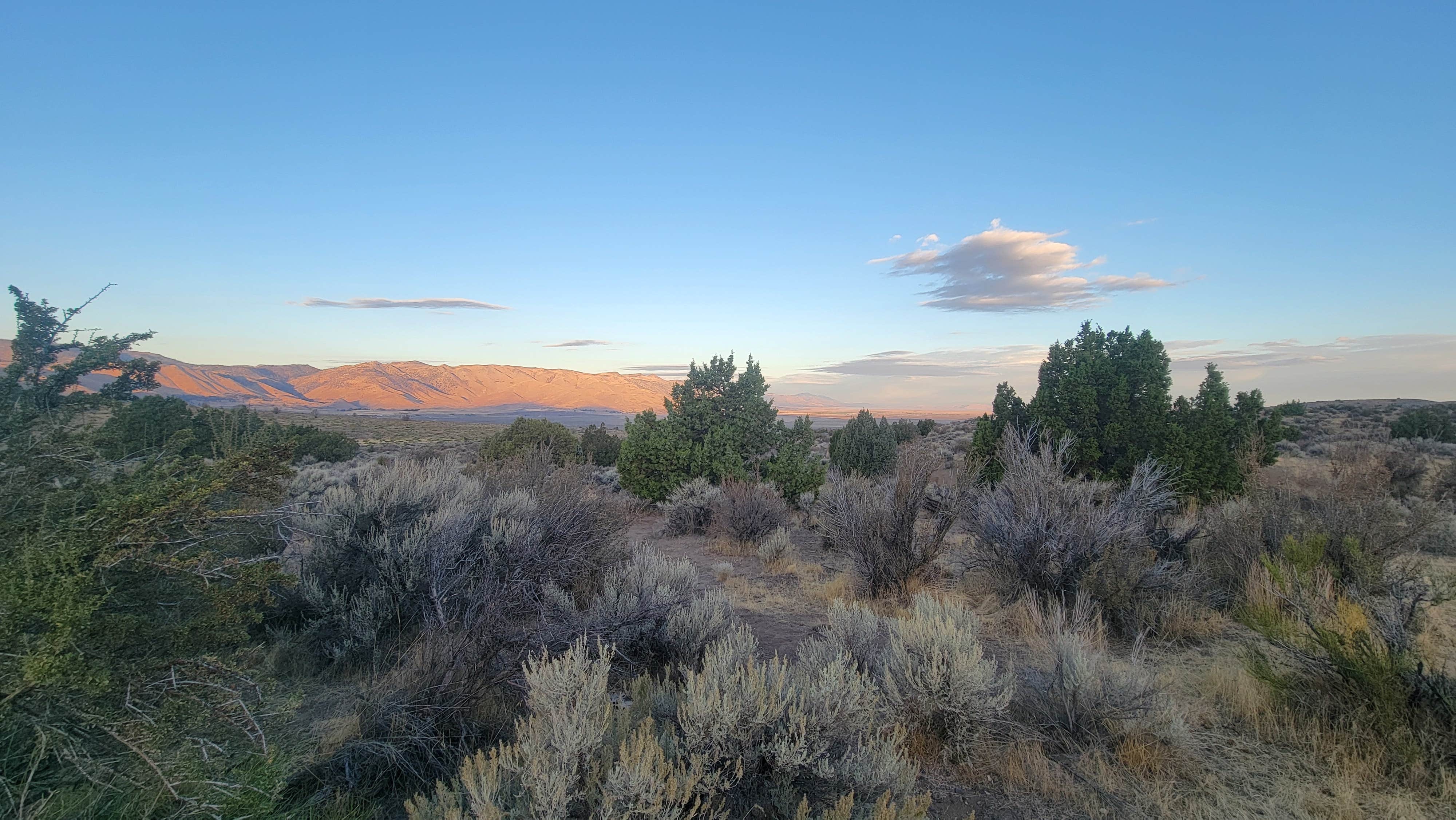 Camper-submitted photo at Fort Sage Off Highway Vehicle Area near Clio, CA