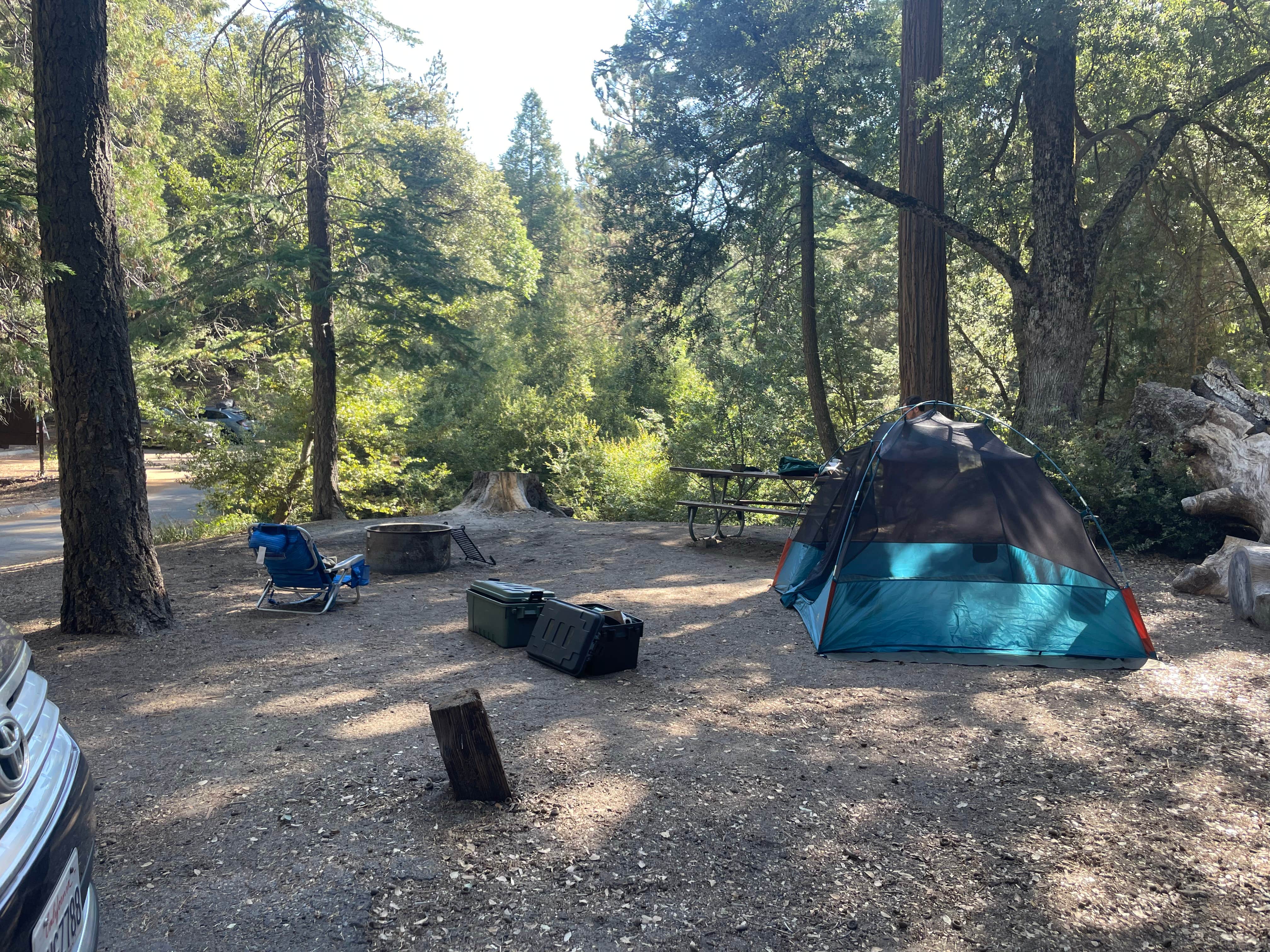 Elise F.'s photo at Fry Creek Campground near Pauma Valley, CA