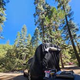 Review photo of Fry Creek Campground by Annie G., September 18, 2024