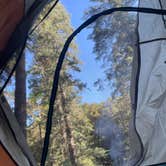 Review photo of Fry Creek Campground by Elise F., August 25, 2025
