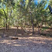 Review photo of Fry Creek Campground by Annie G., September 18, 2024