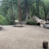 Review photo of Fry Creek Campground by Elise F., August 25, 2025
