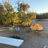 Review photo of Furnace Creek Campground — Death Valley National Park by Rubén D., November 26, 2025