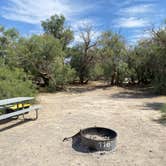 Review photo of Furnace Creek Campground — Death Valley National Park by Lauren , April 13, 2024