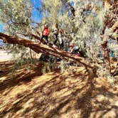 Review photo of Furnace Creek Campground — Death Valley National Park by Sjana T., October 20, 2023