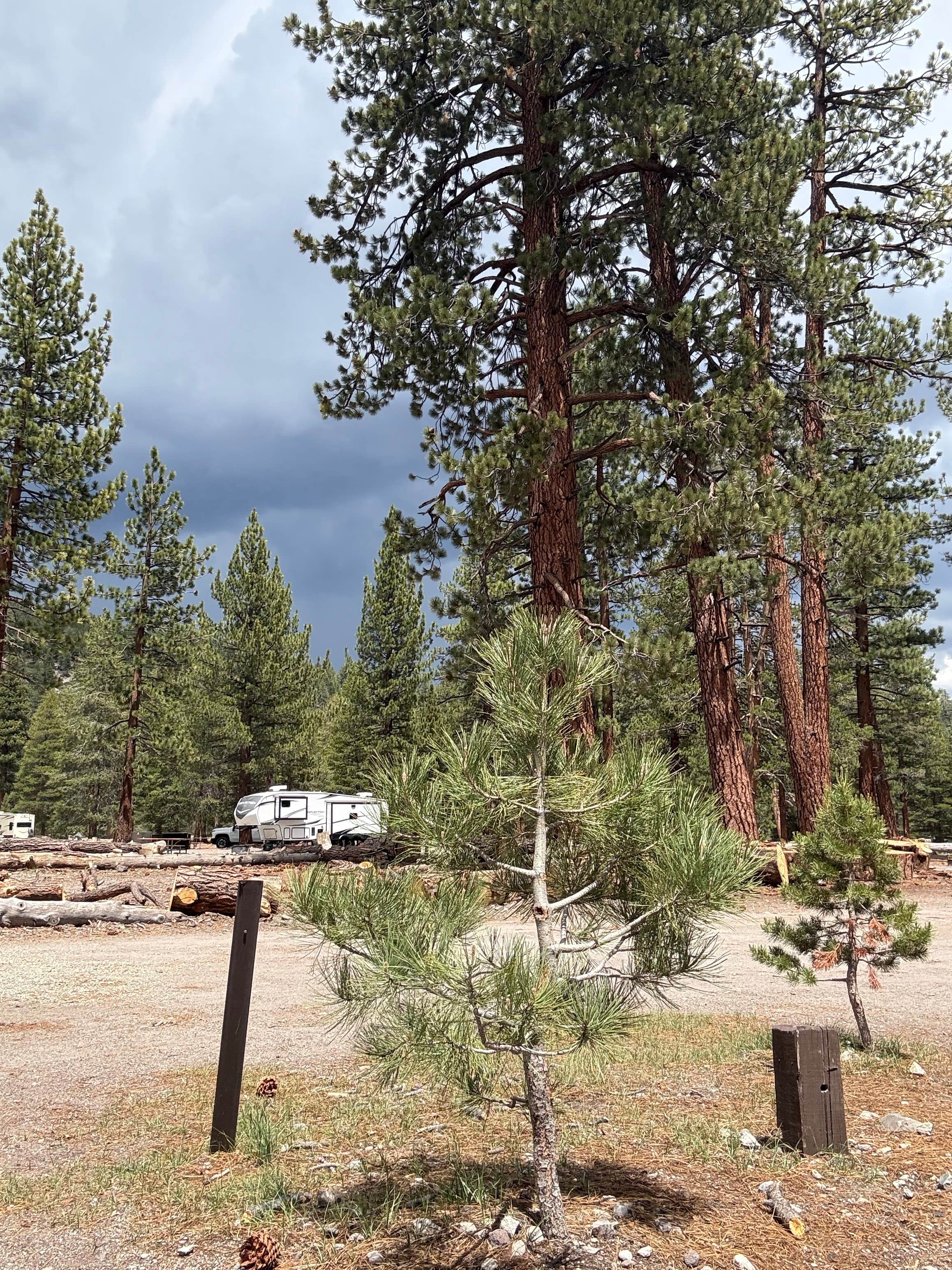 Camper-submitted photo at Glass Creek near June Lake, CA