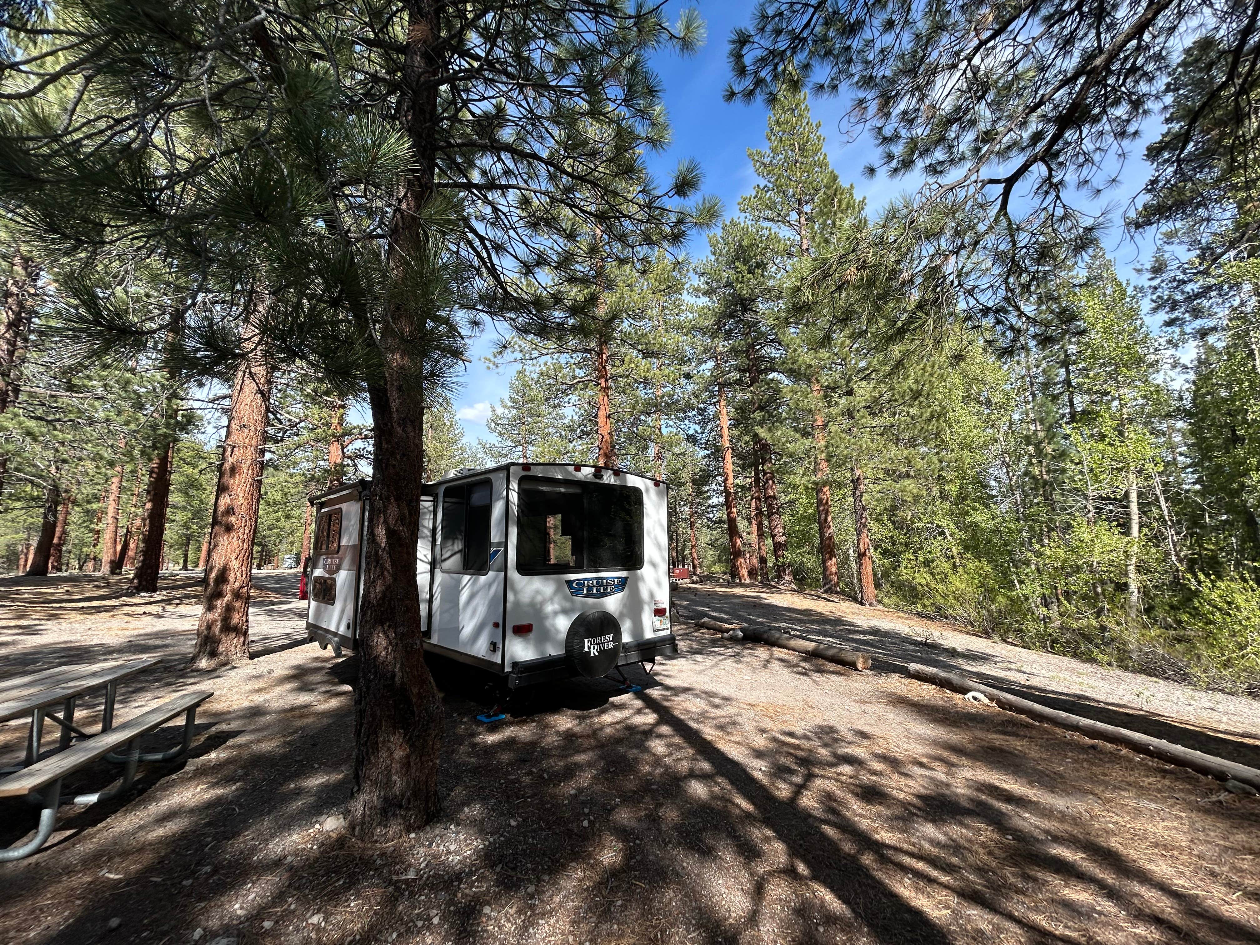 Camper-submitted photo at Glass Creek near Devils Postpile National Monument