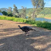 Review photo of Glory Hole Recreation Area by Jim B., March 24, 2026