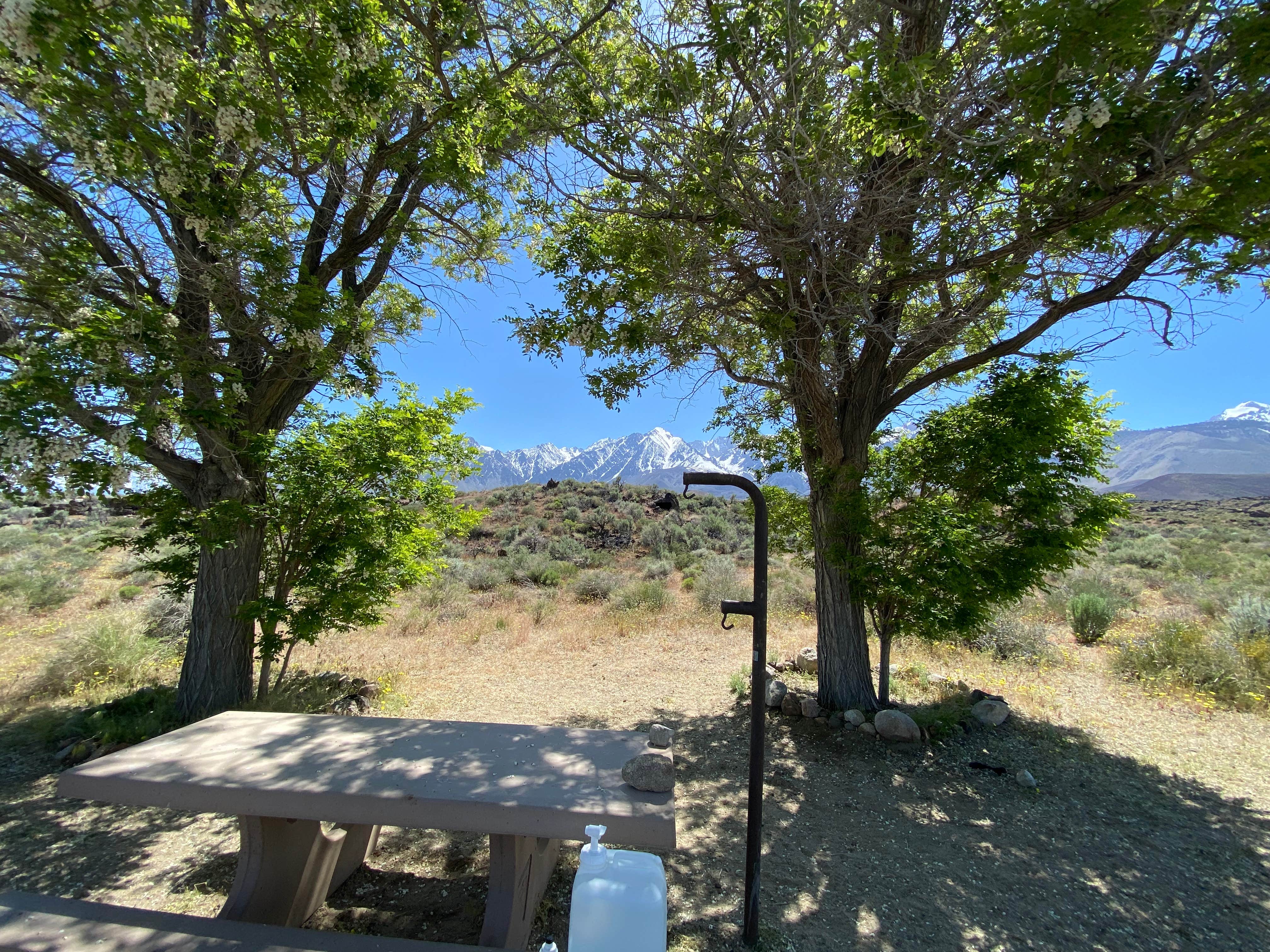 Camper submitted image from Goodale Creek Campground - 4