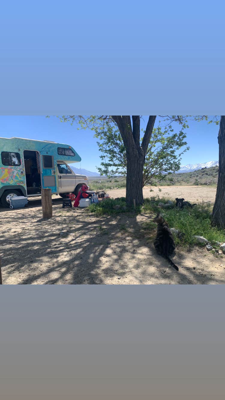 Beverley G.'s photo of rv camping at Goodale Creek Campground near Independence, CA