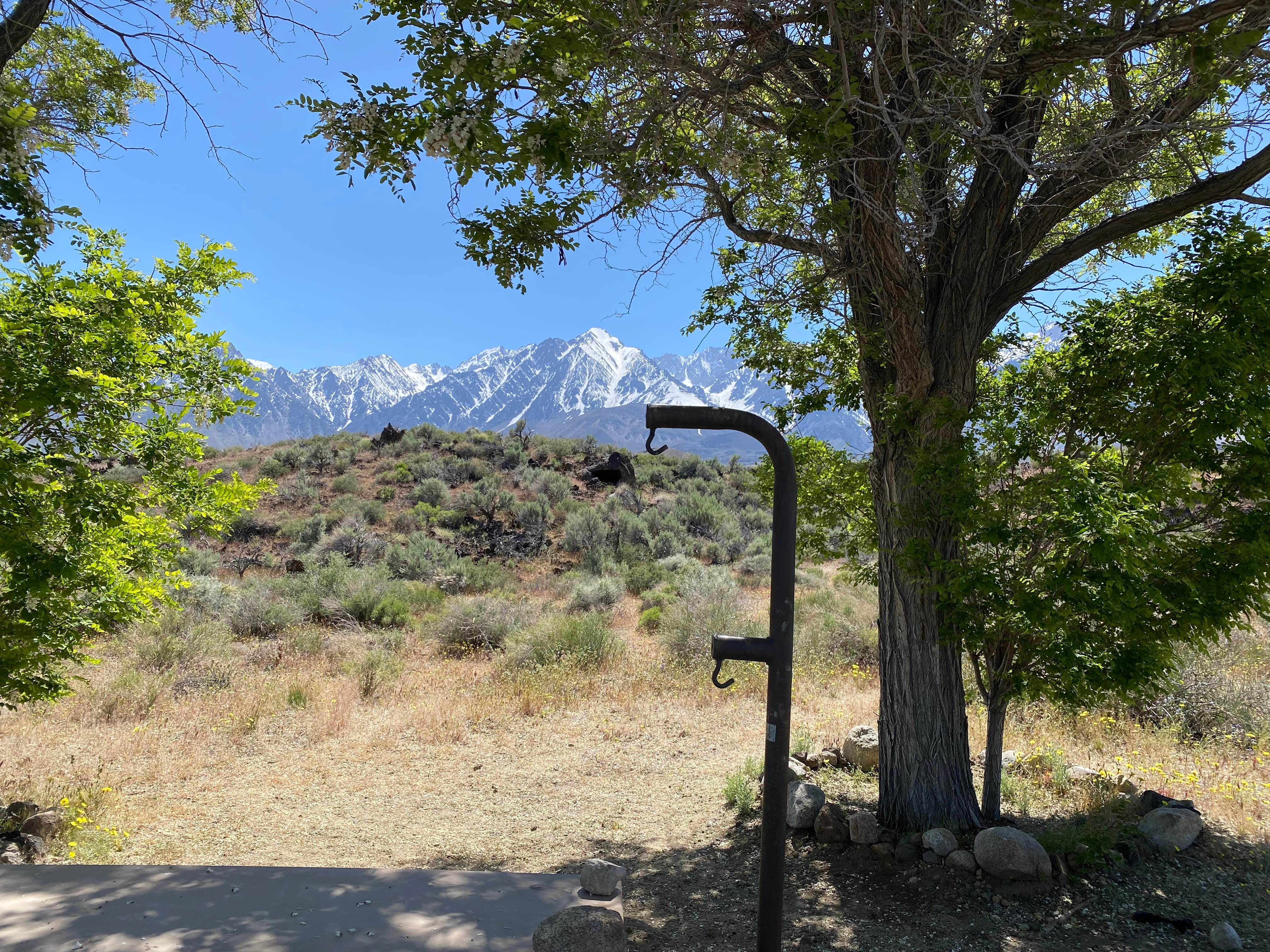 Camper submitted image from Goodale Creek Campground - 4