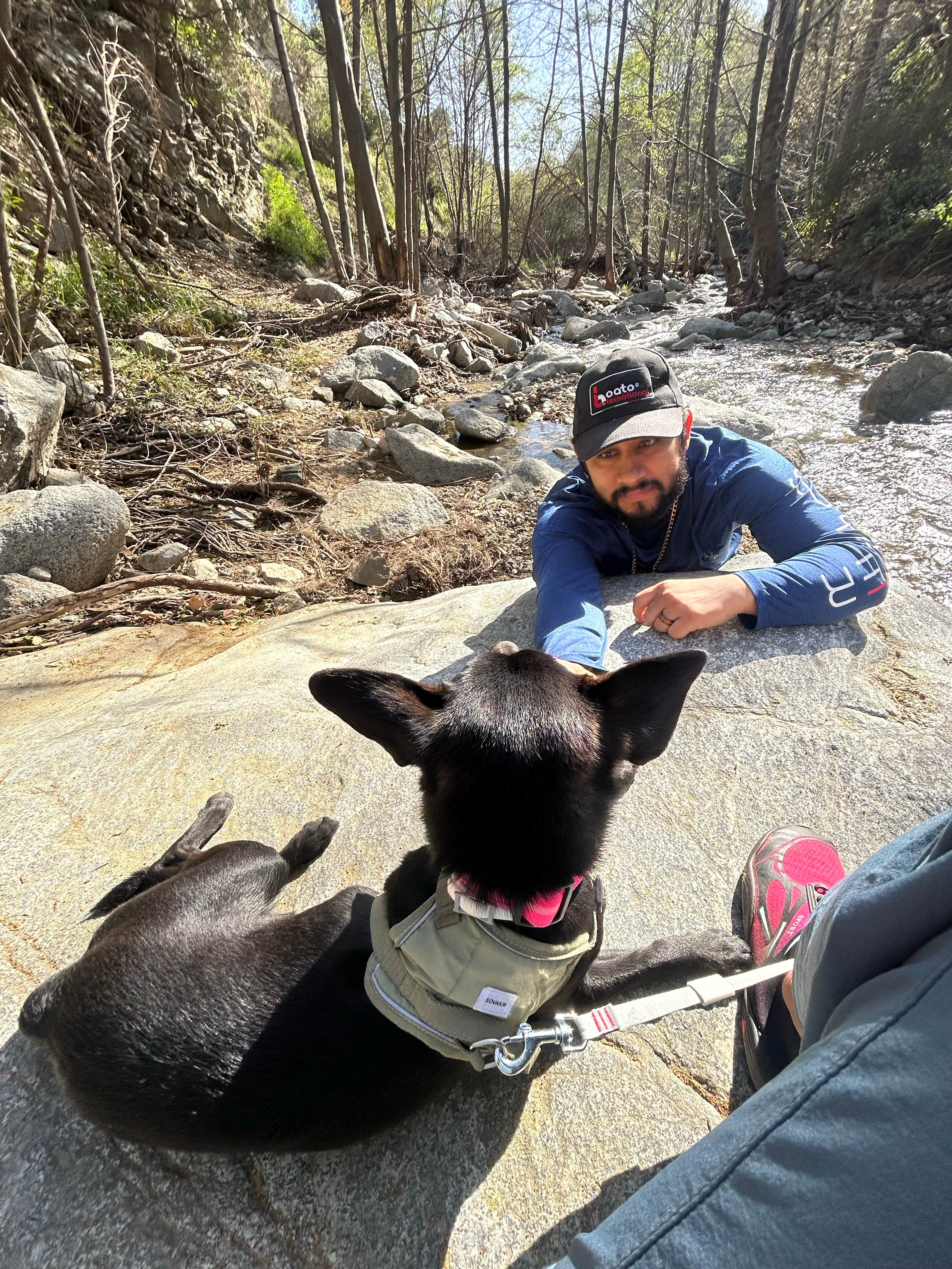 Lindsey G.'s photo of camping with pets at Gould Mesa Trail Campground near Bell Gardens, CA