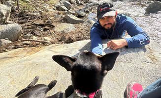 Lindsey G.'s photo of camping with pets at Gould Mesa Trail Campground near San Gabriel, CA