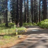 Review photo of Grover Hot Springs State Park Campground by Alma L., June 23, 2026