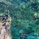 Review photo of Guajome Regional Park by Winter T., March 14, 2026