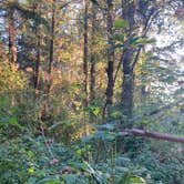 Review photo of Guajome Regional Park by Winter T., March 14, 2026